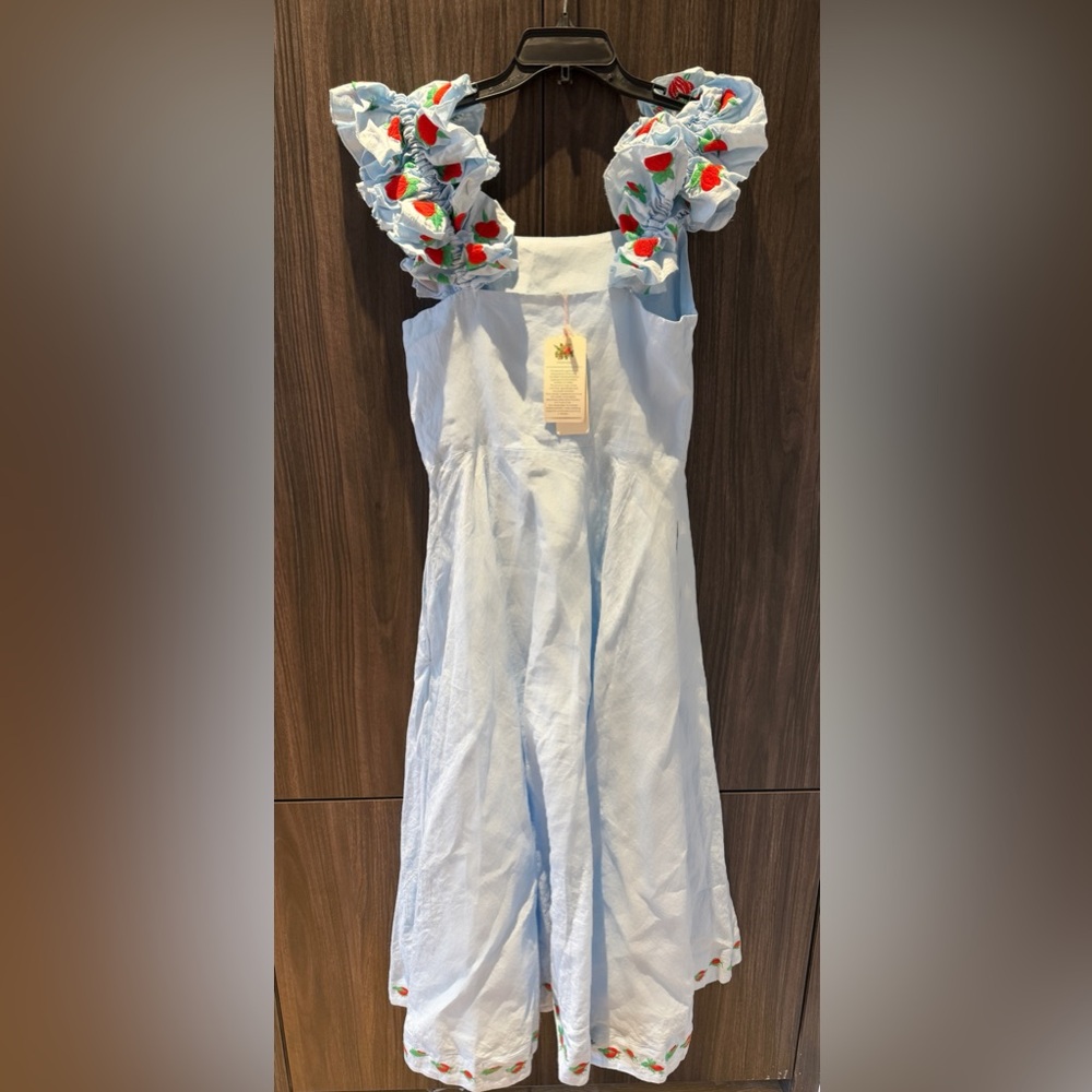 Fanm Mon Light Blue Floral Embroidered Midi Dress - Picture 4 of 4
